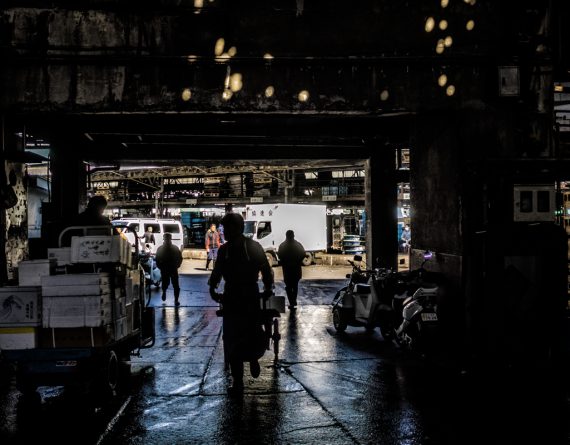 Marché aux poissons de Tsukiji