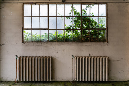 Loison s’en Friche<br>Mémoire Évanouie